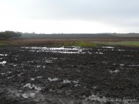 /album/bahnaci-na-slatine/p1690553-jpg/