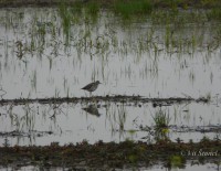 /album/a8/p1650436-jpg/